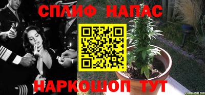 стафф Железноводск