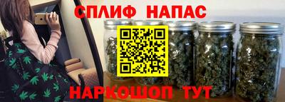 PSILOCYBIN Ефремов